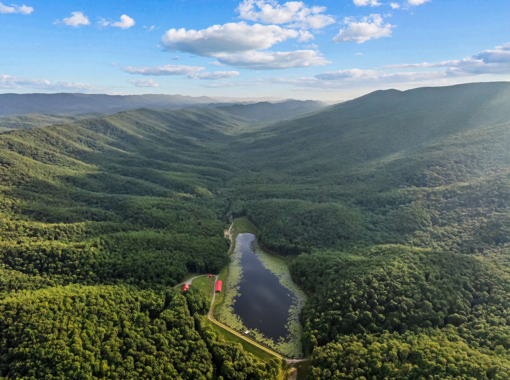 Aerial view southwest along the private lake and forested valley at Wild Mule Reserve