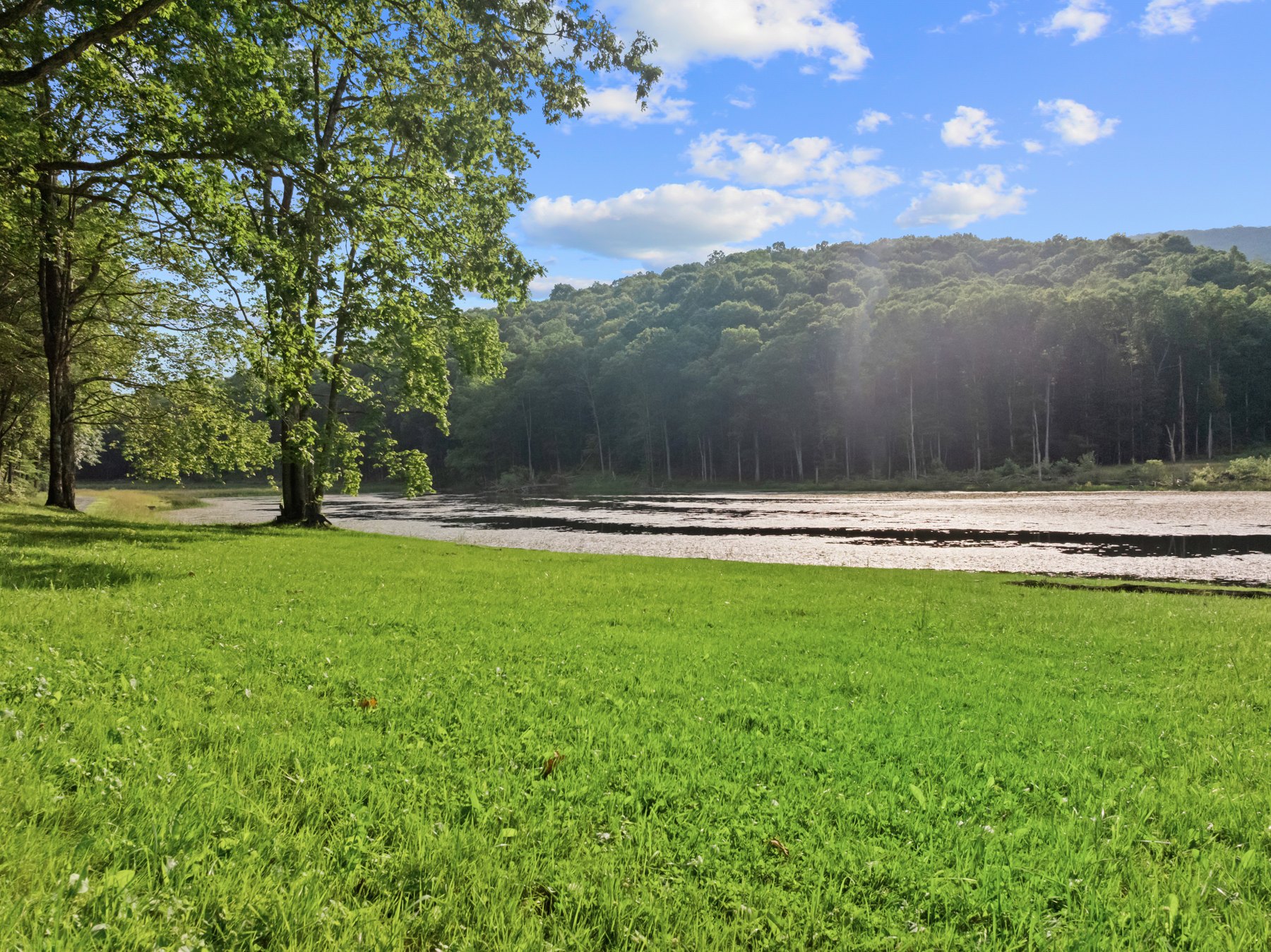A sunlit lawn shaded by trees beside the private lake